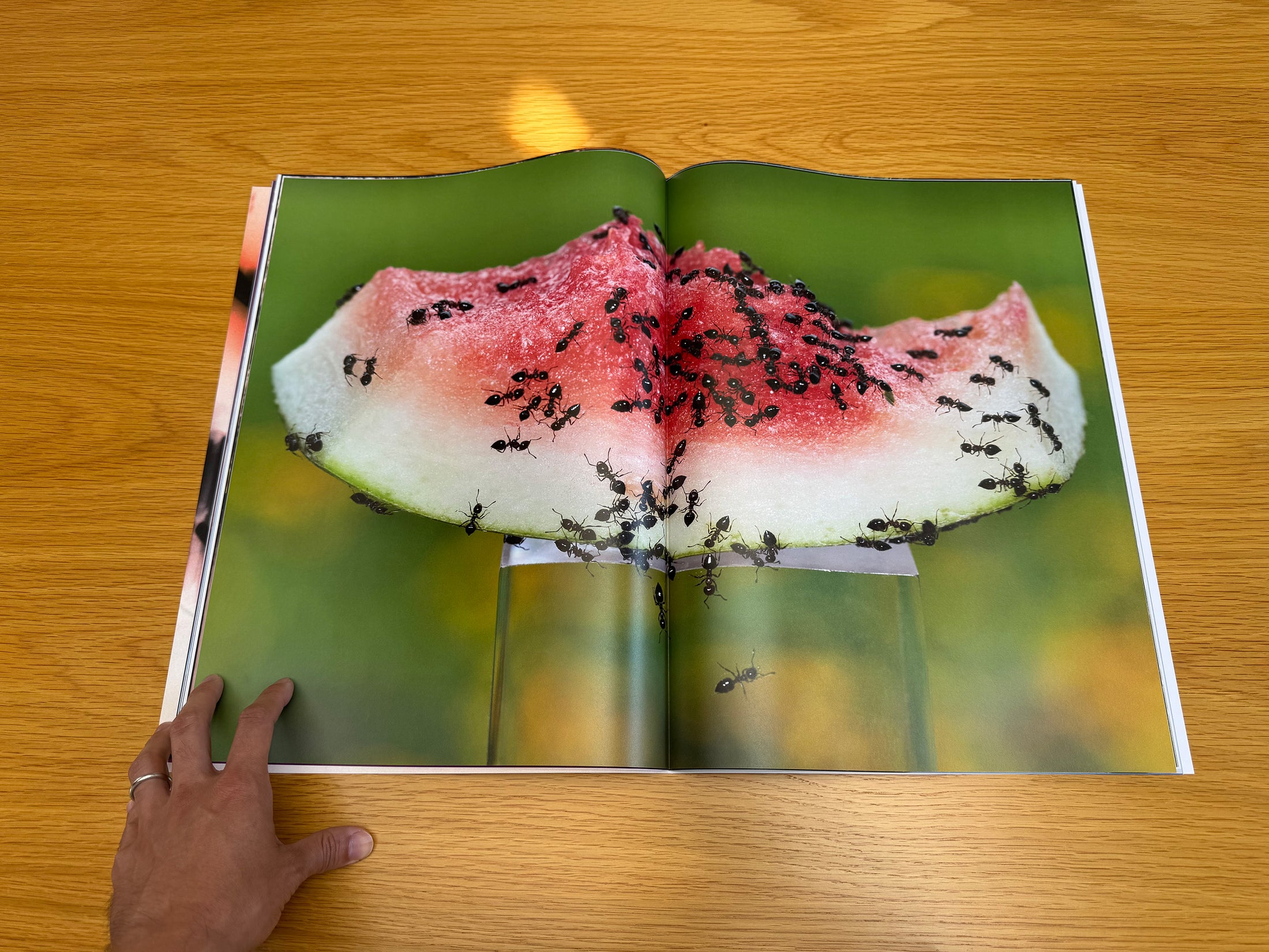 On Earth Momentarily Magazine, 2025