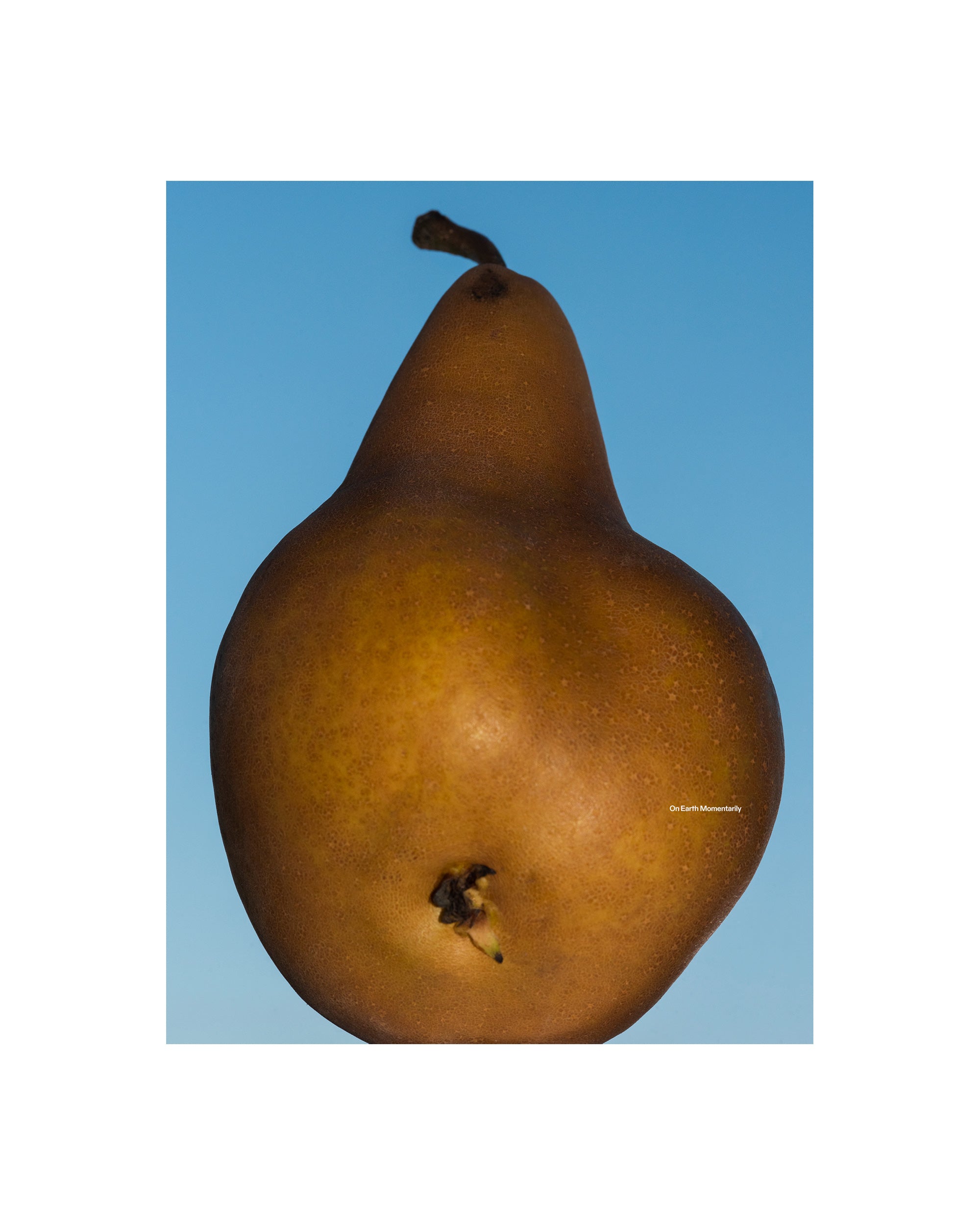 On Earth Momentarily Magazine